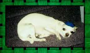jenny